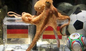 Linh vật thực sự của World Cup 2010?