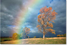 Tin nhắn tình yêu Nắng gửi Mưa