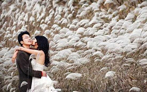 Cảm ơn anh - chẳng vì điều gì cả