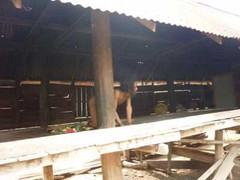 Về nơi có 5 thanh niên bị xích chân hơn 10 năm ròng