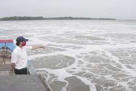 Nông dân Bà Rịa Vũng Tàu đã rút đơn kiện Vedan