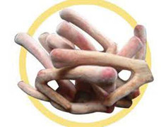 Uống nhung hươu không đúng cách bị tử vong