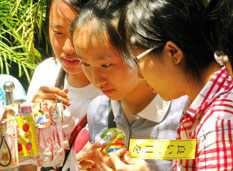 Giới trẻ Hà thành mê mẩn bởi hàng nghìn chuông gió