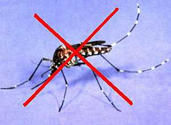 Công điện của Thủ tướng về dịch sốt xuất huyết