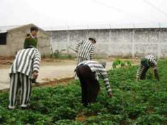 Phạm nhân lợi dụng mưa lũ trốn trại giam Đông Sơn