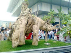 Góc Đại lễ: nhìn từ nơi ngự