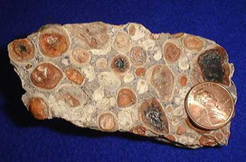 Tìm hiểu về quặng bauxite