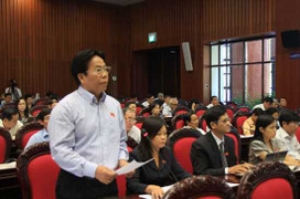 Chỉ đấu giá quyền khai thác khoáng sản?