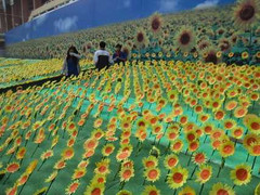 25000 bông hướng dương rạng niềm tin cho em nhỏ ung thư