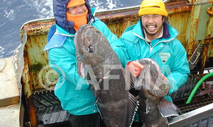 Săn “vàng trắng” ở Nam Cực
