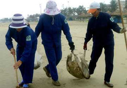 Dầu vón cục tấp vào biển Đà Nẵng