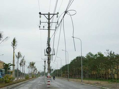 Mắc vạ vì cột điện