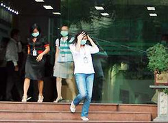 Hà Nội lên kế hoạch chống dịch cúm A/H1N1 và H5N1