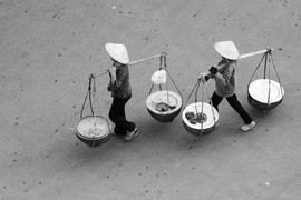 Từ “Hàm cá mập”, dọi thẳng những dòng mưu sinh