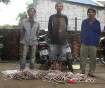 Công nhân cắt trộm dây điện công ty