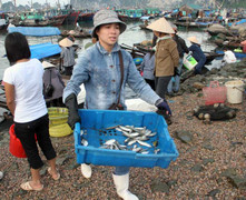 Buổi sáng cùng những người phụ nữ ở chợ cá