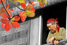 Những khoảnh khắc tuyệt đẹp khi Hà Nội vào thu