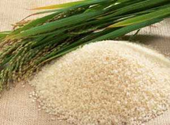 Giá gạo Thái Lan tăng mạnh, gạo Việt Nam giảm