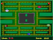 Bọ xít kiếm ăn