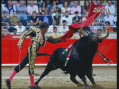 Thi đấu bò tót bị cấm hoàn toàn ở Barcelona