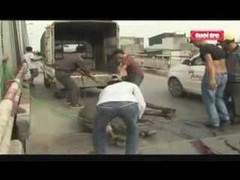 Trâu húc người bị thương giữa Hà Nội