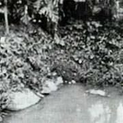 Bi hài mối tình kẻ trộm và người bắt trộm (Kỳ 3)