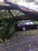 Thót tim với những màn thoát chết cực may mắn