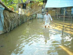 Vỡ hàng trăm đoạn đê cuối nguồn lũ miền Tây
