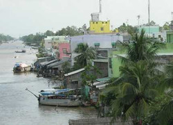 Bạc Liêu: Hoang mang vì những cái chết 'bất chợt'