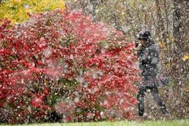 Ảnh: New York lao đao một Halloween ngập tuyết