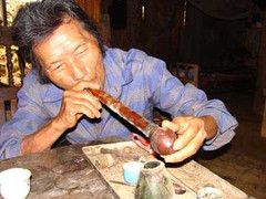 Các cụ già vào rừng trồng… thuốc phiện