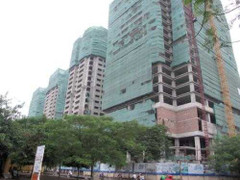 Kỳ 1: Bị bãi miễn tư cách cổ đông vì…tự ý rút vốn