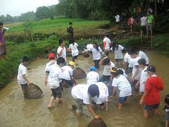 Trải nghiệm làm... nông dân