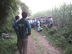 Thanh Hóa: Điện giật, 6 người chết tại chỗ