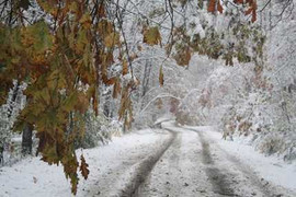 Sau bão tuyết, một góc nước Mỹ vẫn chìm trong bóng tối