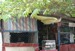 Kiểm điểm 28 cán bộ cưỡng chế giao đất cho dân sai