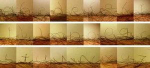 Sinh viên sáng tạo bảng chữ cái từ...lông chân