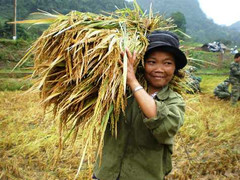 Sản phẩm 'cuộc cách mạng của người Rục'