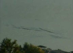 Cơn sốt trên Youtube: Quái vật hồ Loch Ness xuất hiện