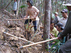 Cơn lốc xuất ngoại tìm thứ 'đắt khủng khiếp'