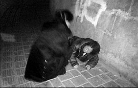 Trung Quốc: Muốn tốt cũng phải có... võ!