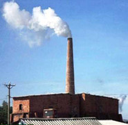 Lò gạch đe dọa... 8 vạn con cò