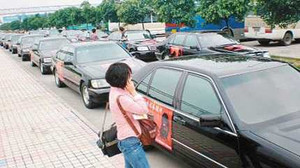 Hai mươi xe sang dàn hàng đón... chó