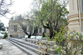 Công nhận xếp hạng 1 cho Bảo tàng Chăm Đà Nẵng