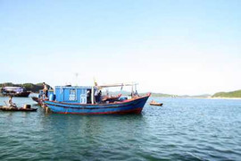 Truyền hình trực tiếp ủng hộ ngư dân Việt Nam