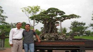 Chuyện thật như bịa với cây triệu đô “mâm xôi con gà”