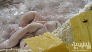 1,5 tấn nầm, tràng lợn “bẩn” suýt thành “đặc sản”