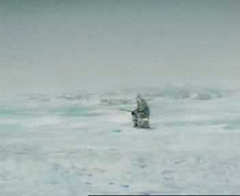 Cần câu cá 'tóm' được con cá lớn nhất thế giới