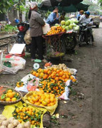 Quýt Thái, cam Hà Giang