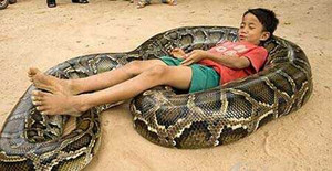 Bé 6 tuổi đùa với trăn khổng lồ nặng hơn 1 tạ
